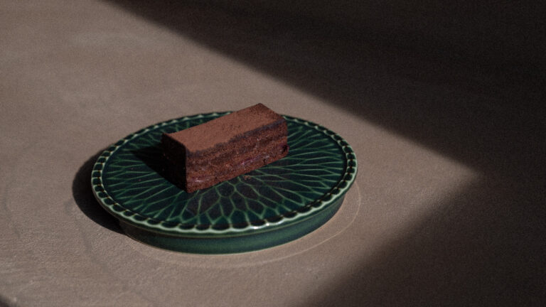 Chocolate cake on a plate