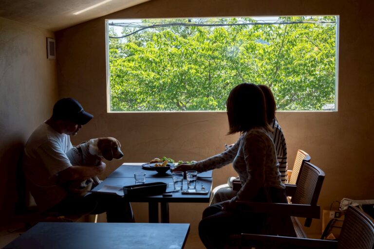 Dining with a dog by the second-floor window